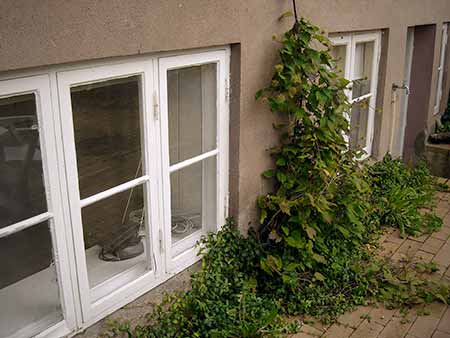 newplace-garden-01