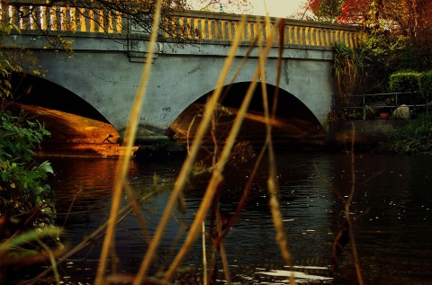 fall