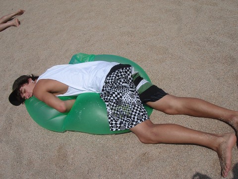 pol-strand