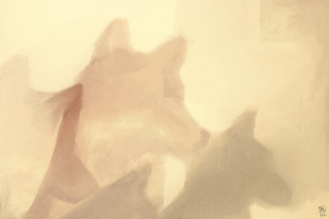 metazoa-03